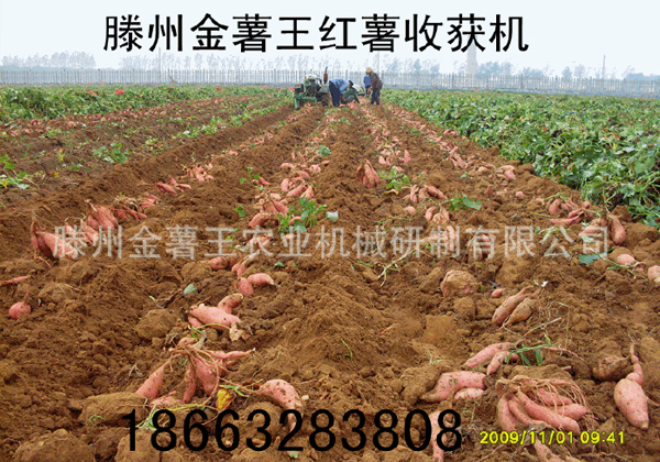 合作案例